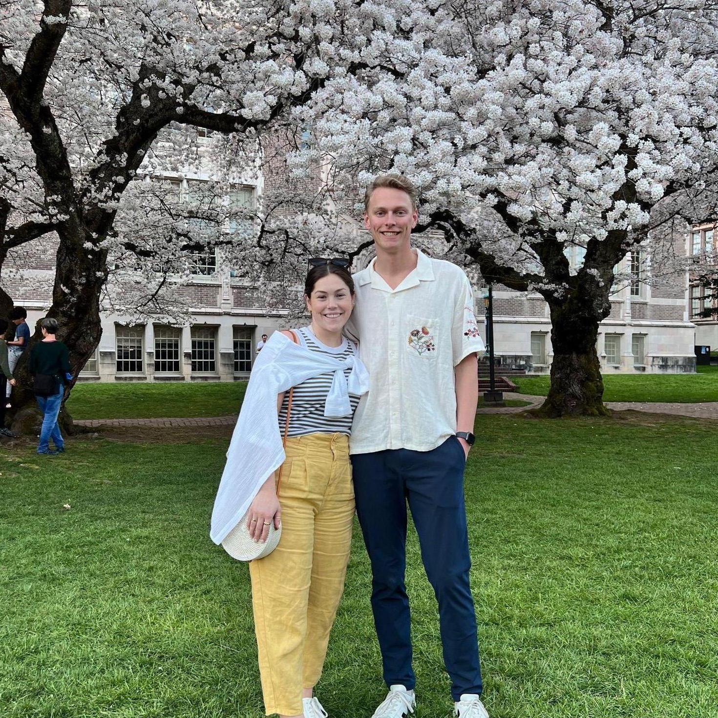 UW Cherry Blossoms