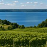 Old Mission Peninsula Wine Trail