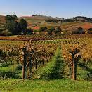 NAPA VALLEY