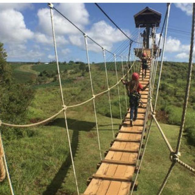 Zippin’ Volcano Adventure