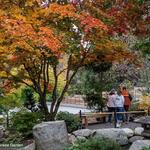 Lithia Park