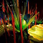 Chihuly Collection