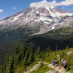 Mount Rainier National Park