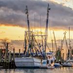 Shem Creek