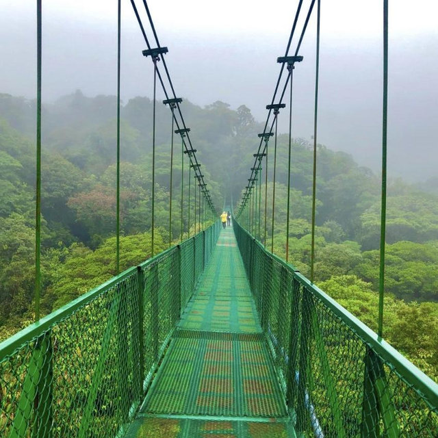 Cloud Forest Walking Tour
