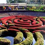 The Getty