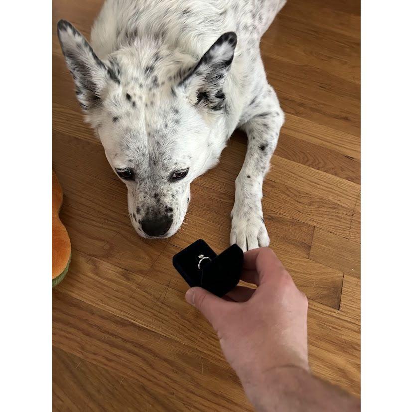 Zelda approved