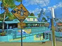 Calypso Cafe and Tropical Bar