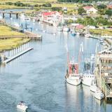 Shem Creek