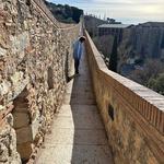 Walk the Ancient City Walls (Passeig de la Muralla)
