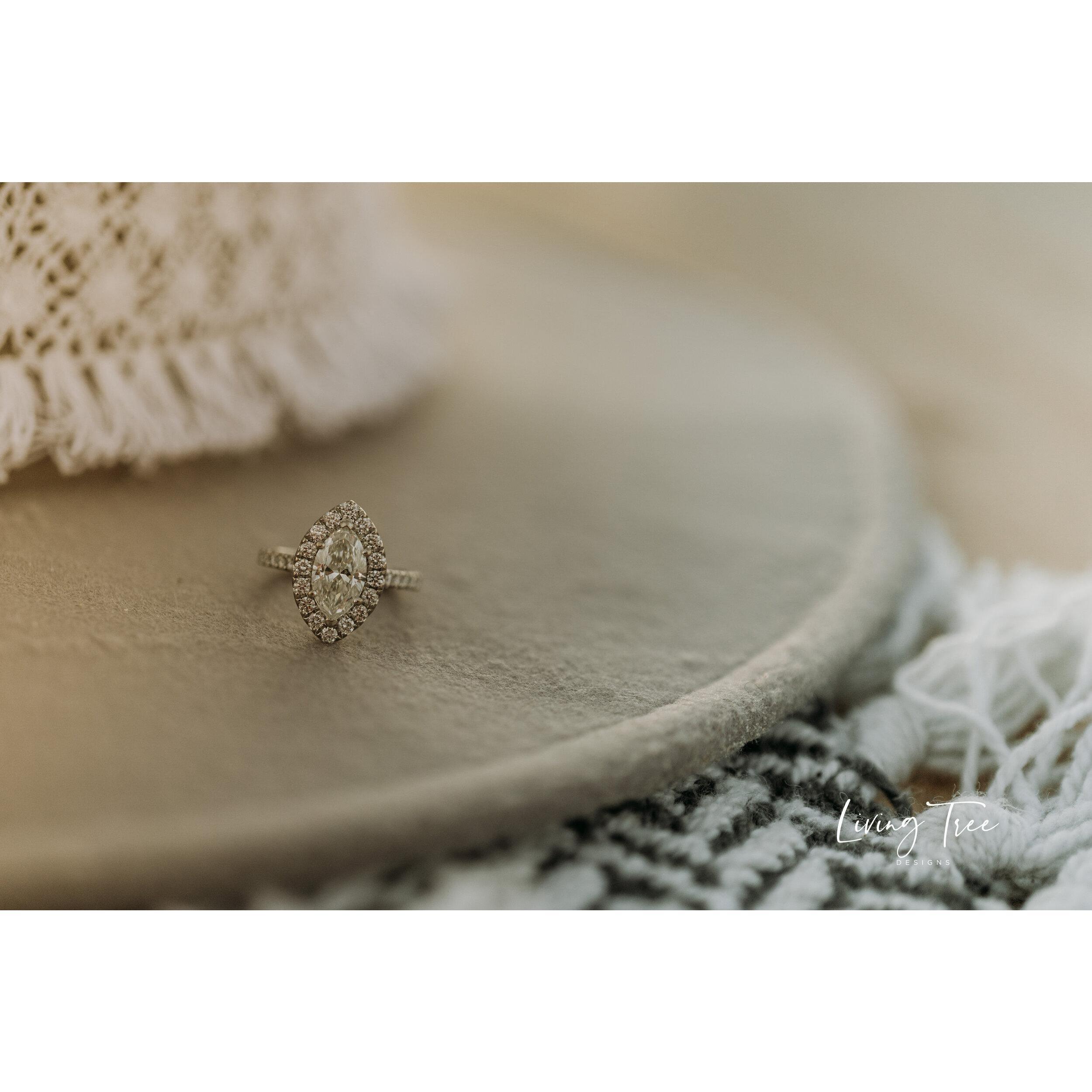 Living Tree Designs
Monahans Sandhills State Park