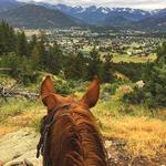 Sombrero Ranch