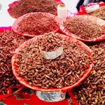 Mercado Benito Juarez