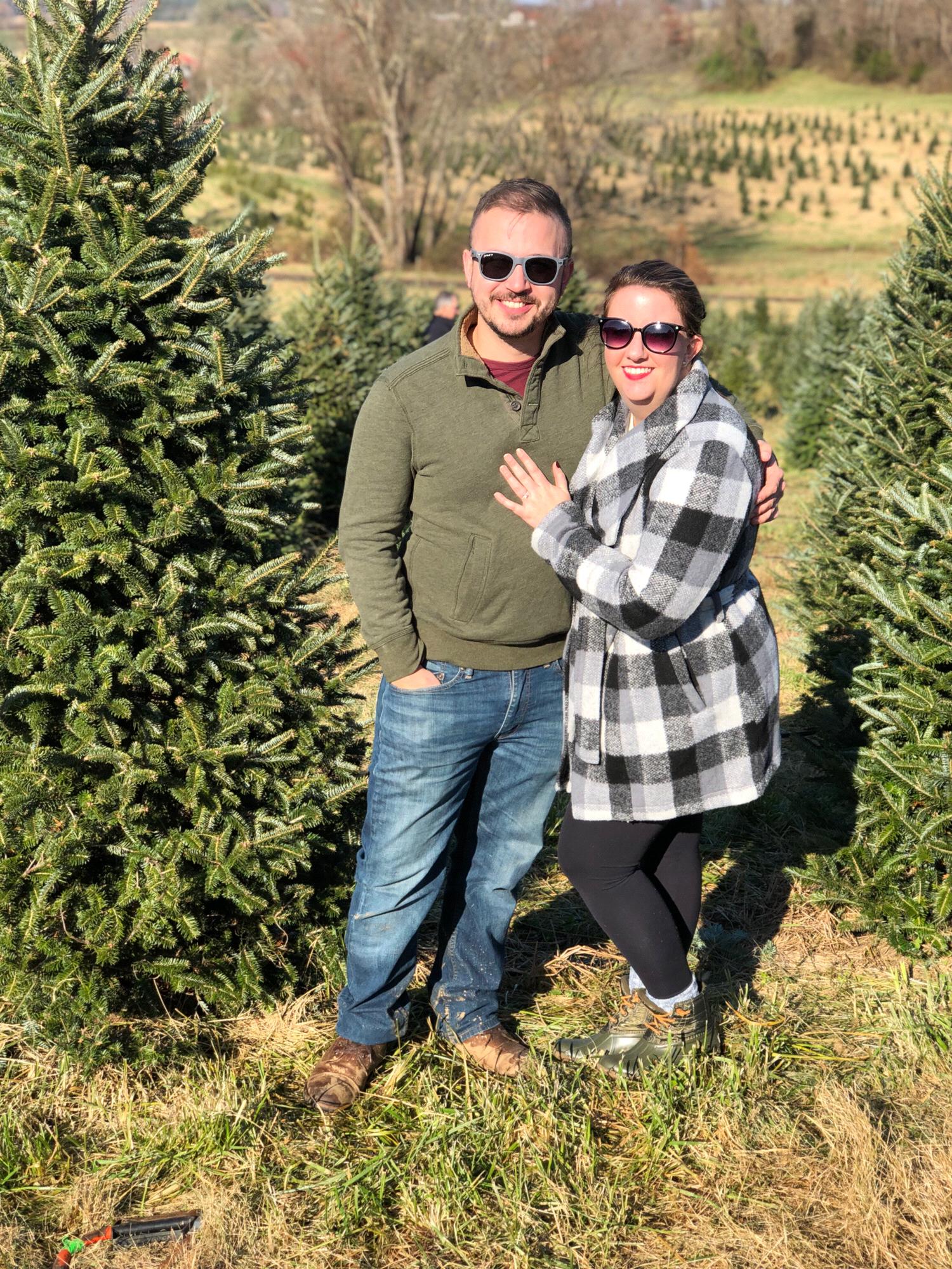 Jarrettsville Christmas Tree Farm, November 2018