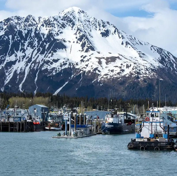 honeymoon! we’re going to alaska!!