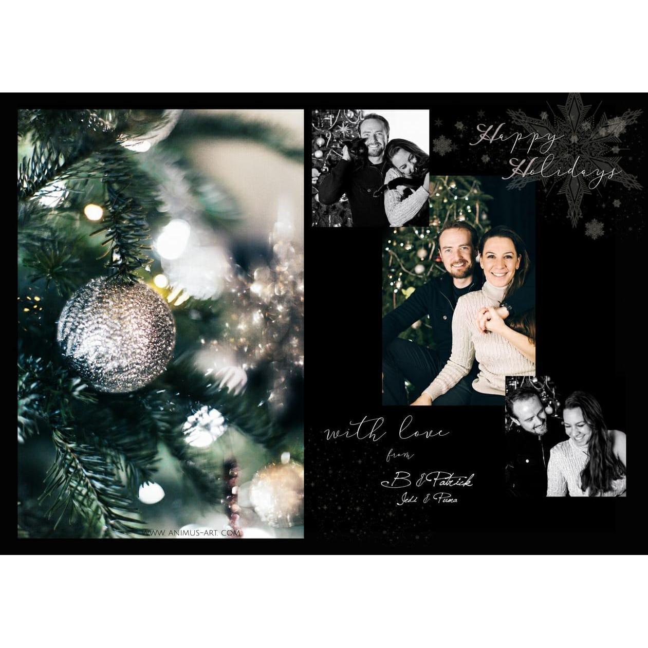 Our first Holiday card with the cats.