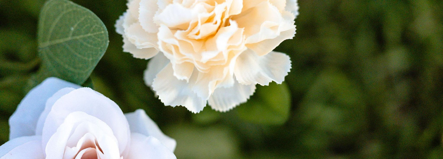 The Wedding Website of Alexis Smythe and Yaswanth Tummala