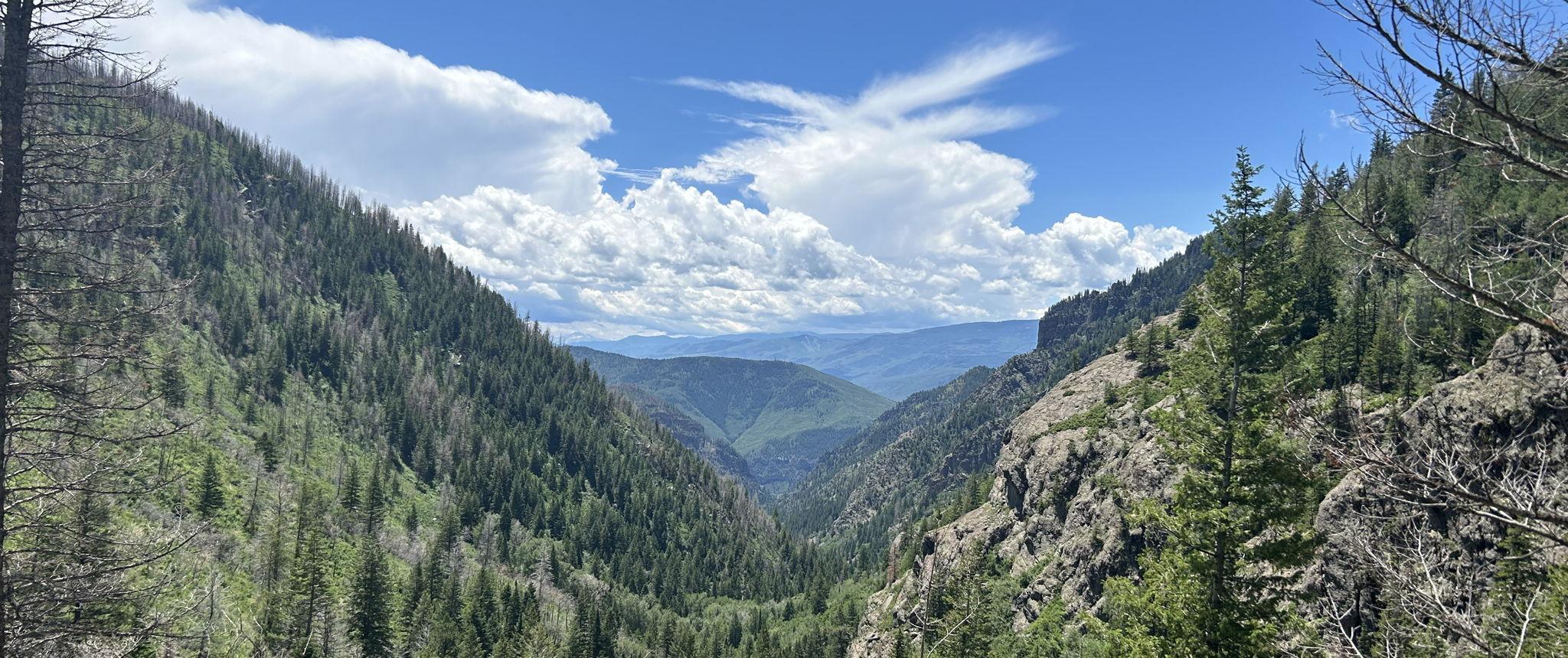 The Wedding Website of Margot Balliet and Muhammad Khan