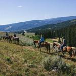 Horseback Riding at LMR