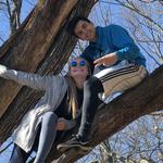 We Climbed A Tree