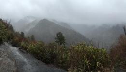 Alum Cave Trail