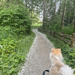 Take a Hike!