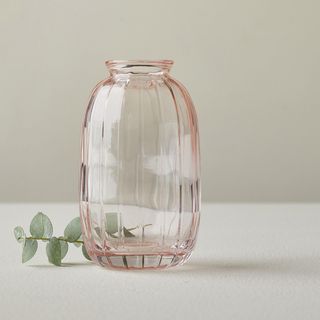 Curved Optic Bud Vase, Set of 4
