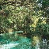 Kelly Park - Rock Springs