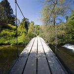 Mount Usher Gardens