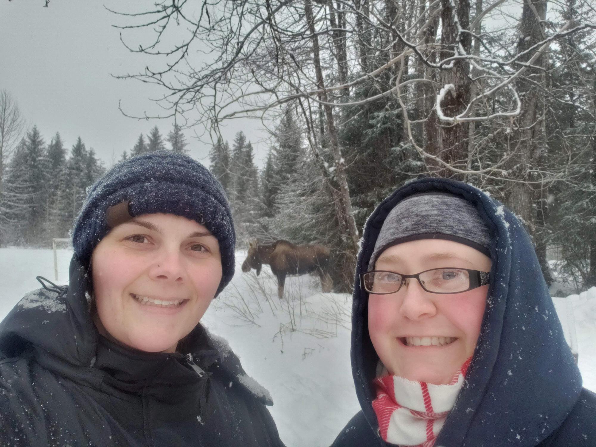 Girdwood . . . a dreamland . . . oh . . . and we ran into a moose . . .
