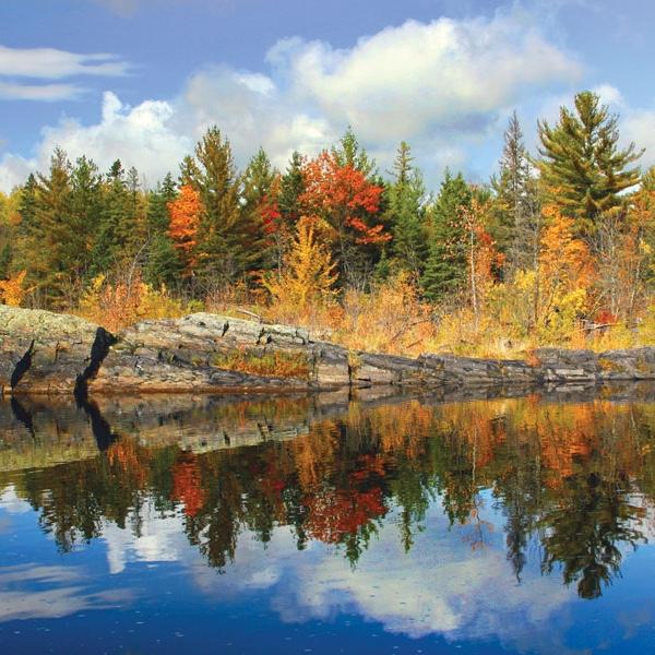 Minnesota State Parks Year Pass!