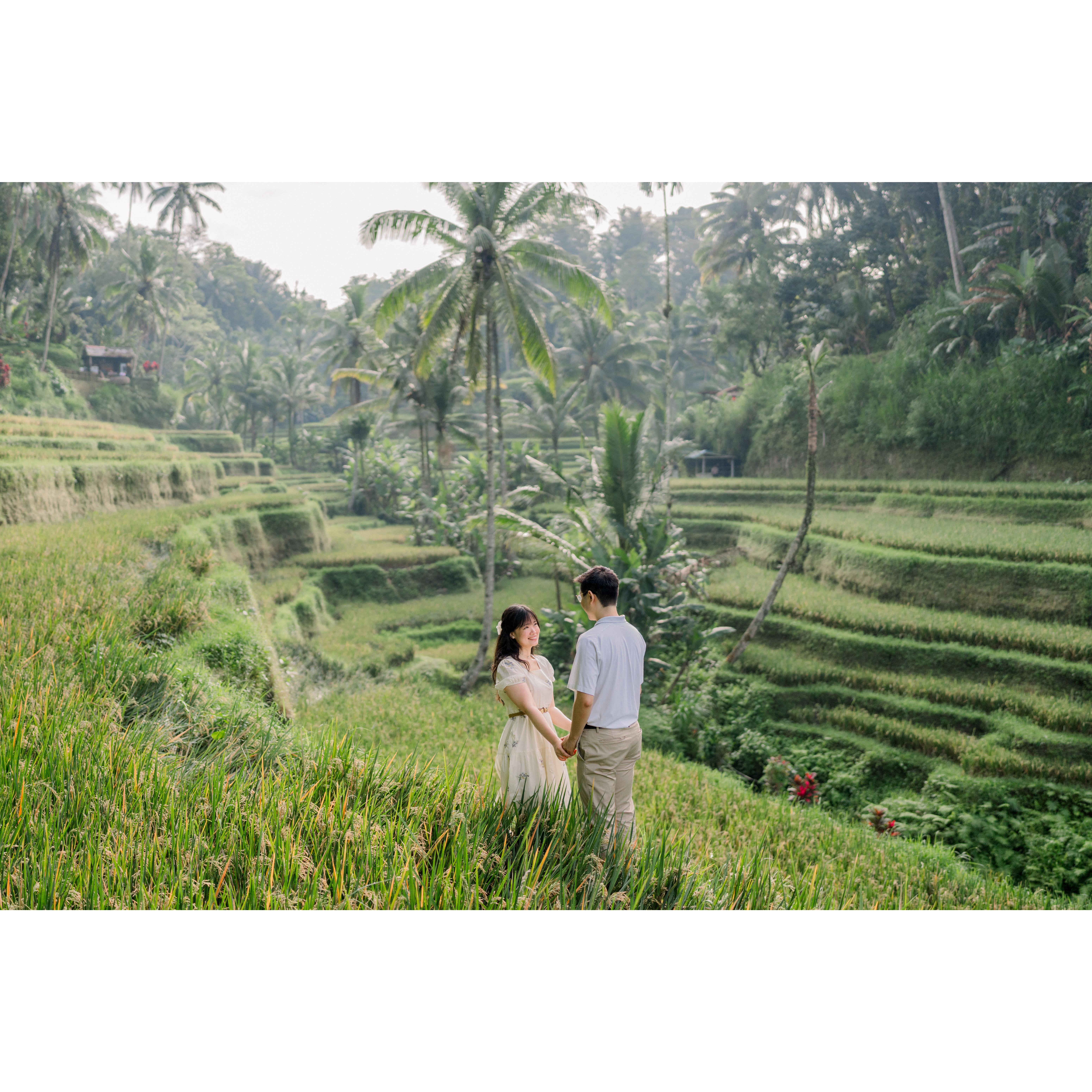 We came for the rice fields. Stayed because we got lost. Send help. 😅📍