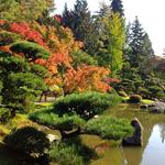 Washington Park Arboretum