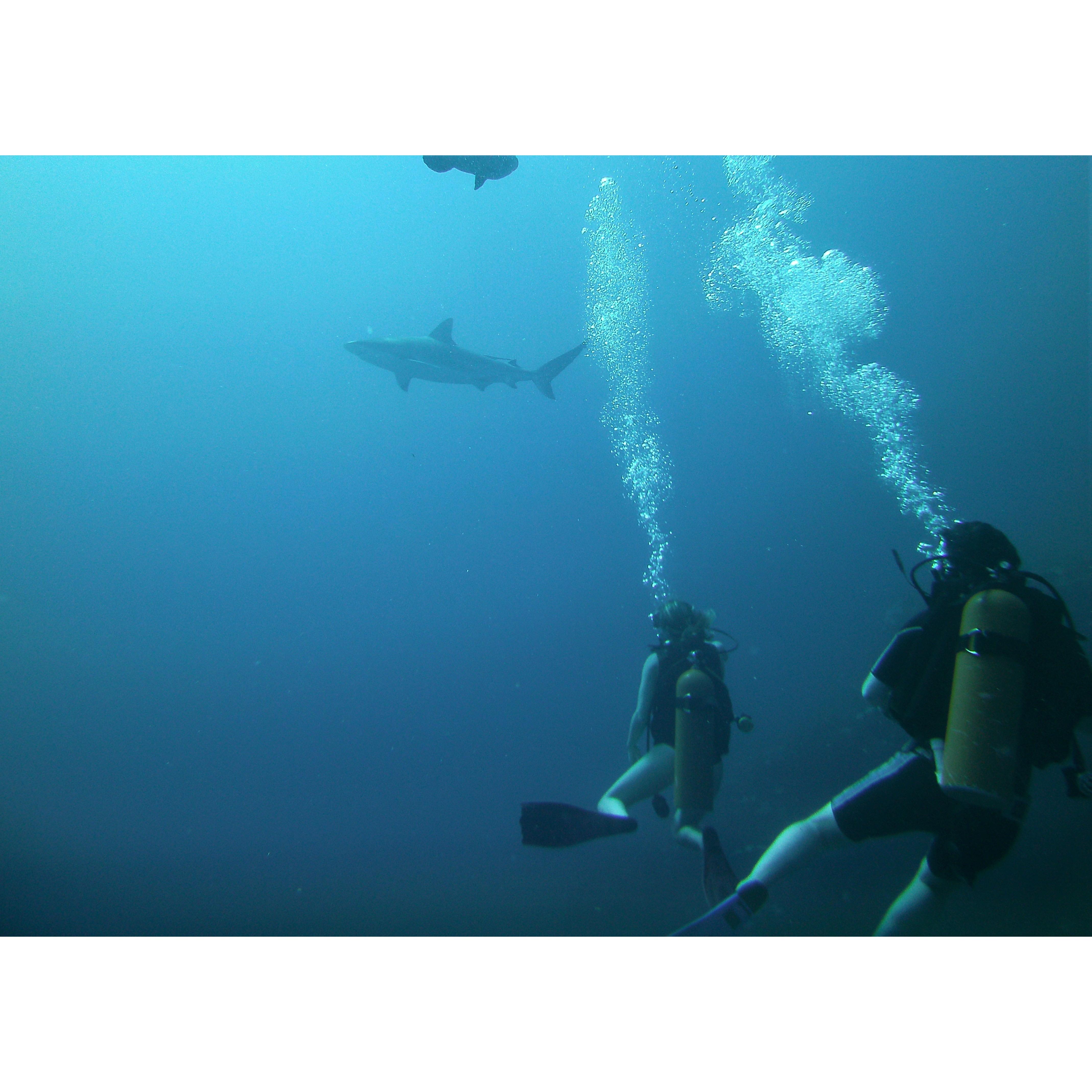 day after engagement adventure, belize 2019