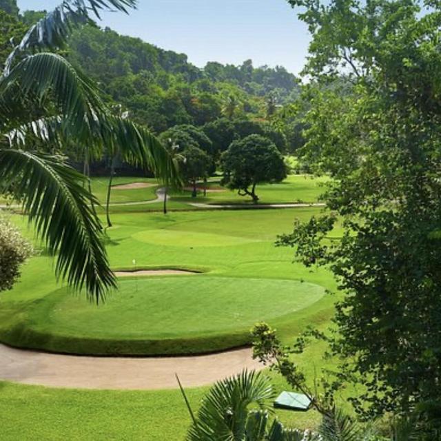 Golfing On Our Honeymoon