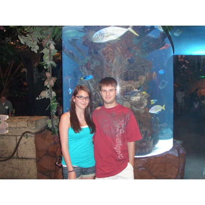Rainforest Cafe (RIP) 2010