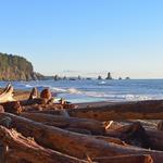 La Push