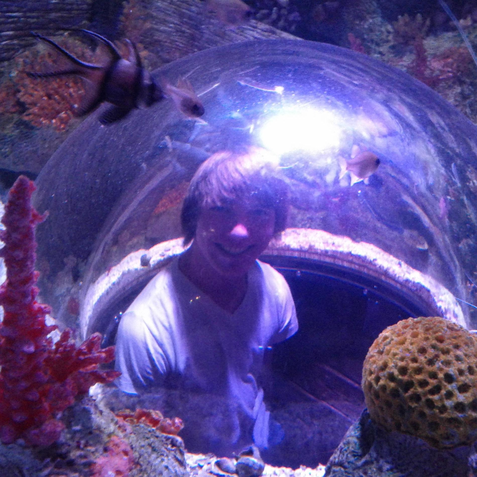 Date at the aquarium, 2012