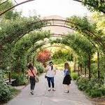 Red Butte Garden and Arboretum