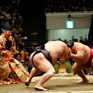 Sumo Wrestling Experience