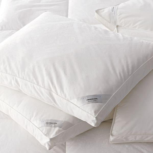 The Company Store Legends Hotel™ PrimaLoft® Down Alternative Black Label™ Pillow - White