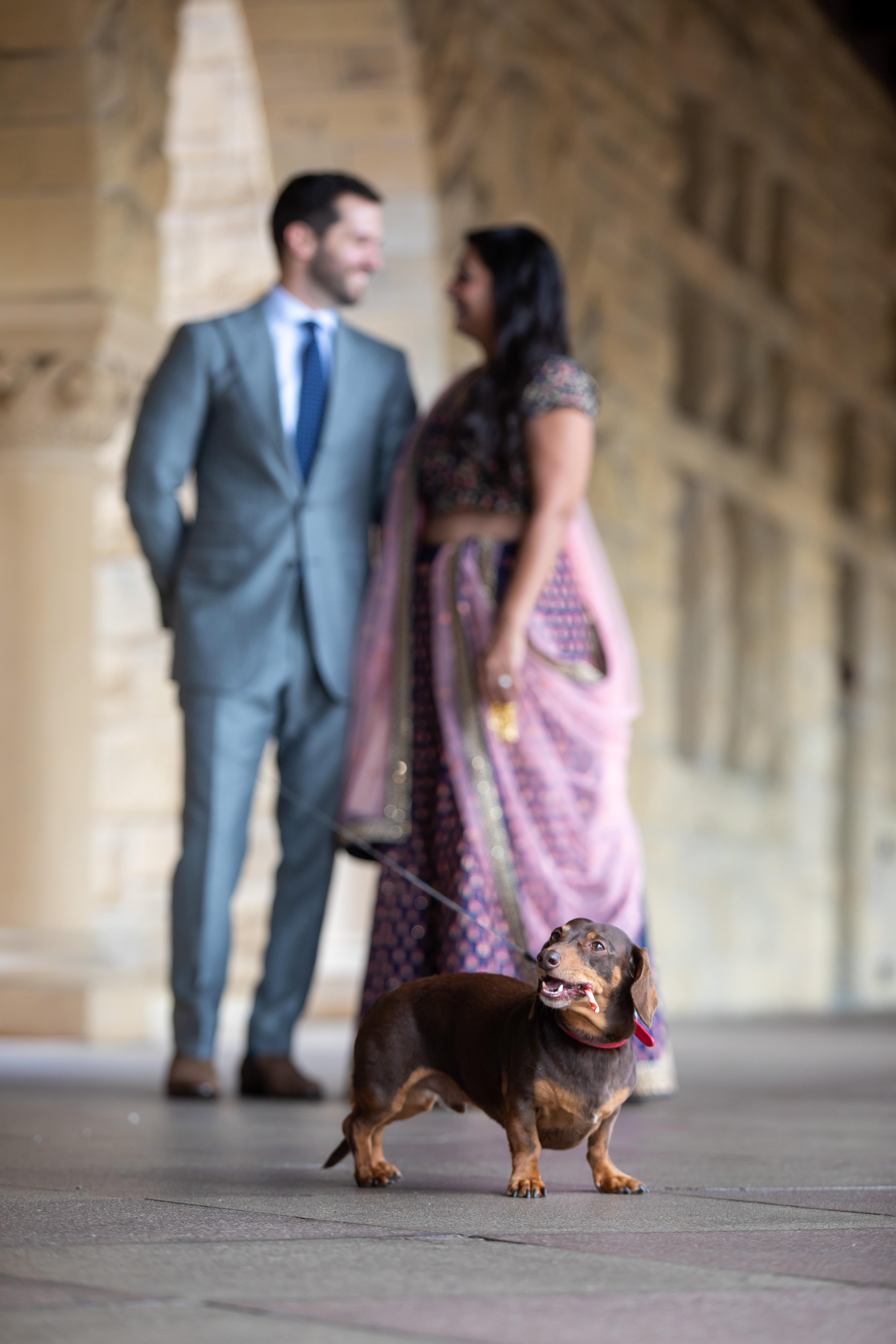 The Wedding Website of Zach Adams and Ragini Shyam