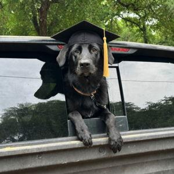 Yogi's College Fund