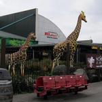 Jungle Jim's International Market