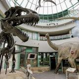 North Carolina Museum of Natural Sciences