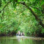 Parque Nacional Tortuguero