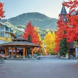 Whistler