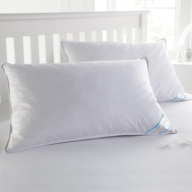 Sweet Home Collection Feather Pillow, Standard (Pack of 2), White 2 Count
