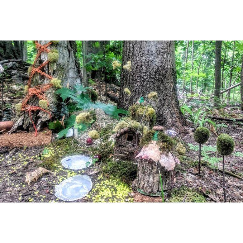 Fairy Trails