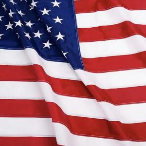 Immigration Attorney